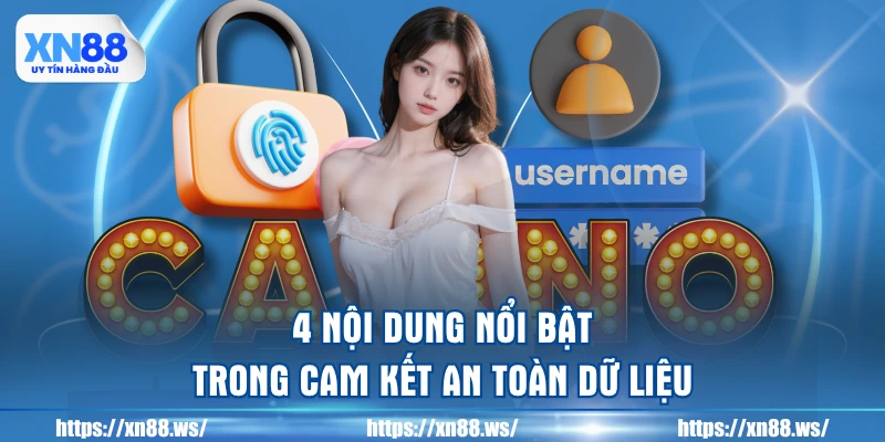4-noi-dung-noi-bat-trong-cam-ket-an-toan-du-lieu