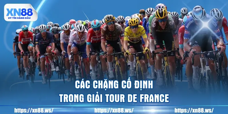 cac-chang-co-dinh-trong-giai-tour-de-france