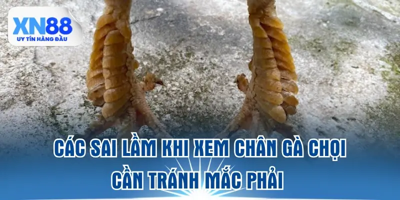 cac-sai-lam-khi-xem-chan-ga-choi-can-tranh-mac-phai