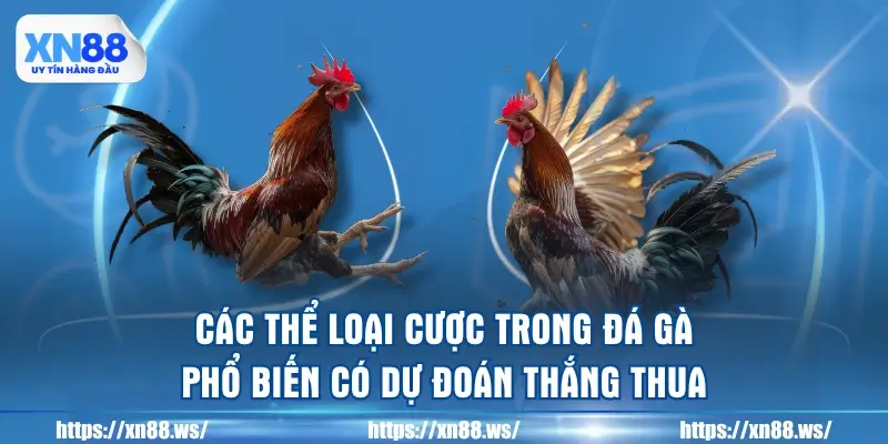 cac-the-loai-cuoc-trong-da-ga-pho-bien-co-du-doan-thang-thua