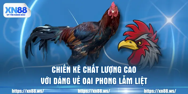 chien-ke-chat-luong-cao-voi-dang-ve-oai-phong-lam-liet