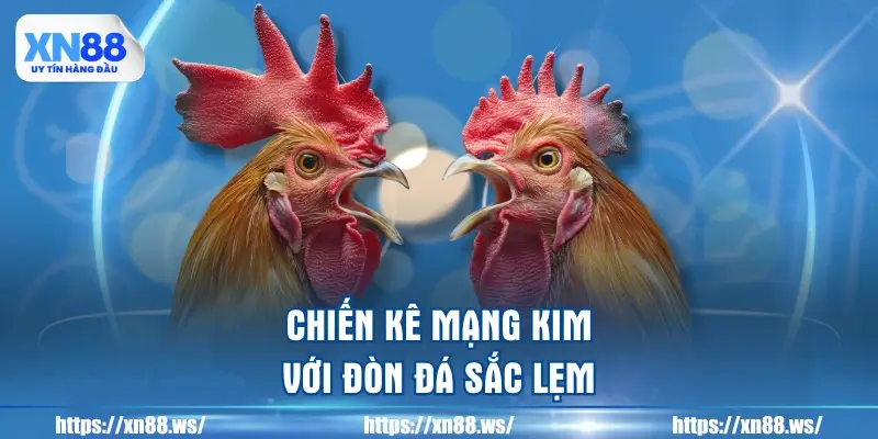 chien-ke-mang-kim-voi-don-da-sac-lem