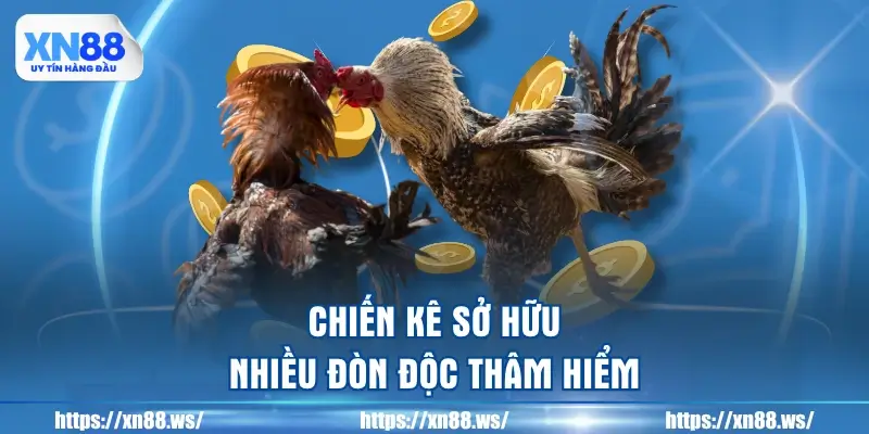 chien-ke-so-huu-nhieu-don-doc-tham-hiem
