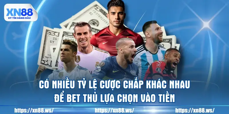 co-nhieu-ty-le-cuoc-chap-khac-nhau-de-bet-thu-lua-chon-vao-tien