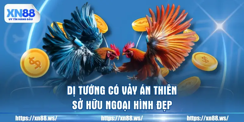 di-tuong-co-vay-an-thien-so-huu-ngoai-hinh-dep