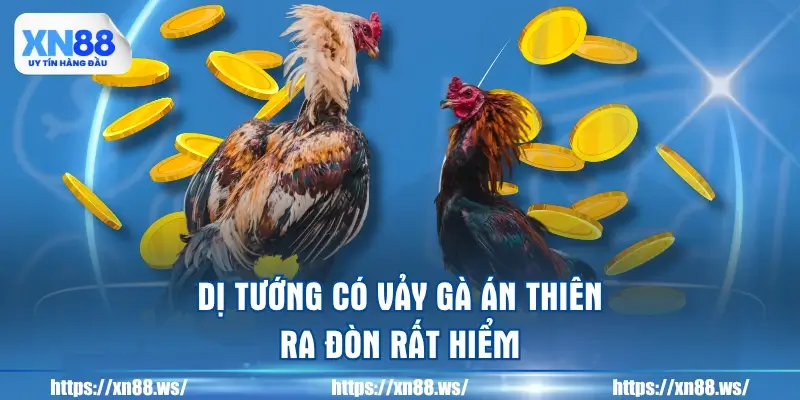 di-tuong-co-vay-ga-an-thien-ra-don-rat-hiem