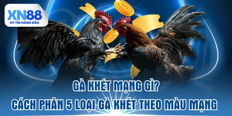 ga-khet-mang-gi-cach-phan-5-loai-ga-khet-theo-mau-mang