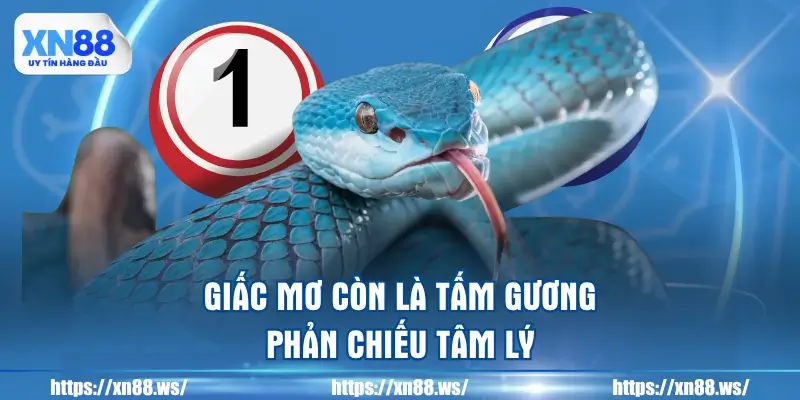 giac-mo-con-la-tam-guong-phan-chieu-tam-ly