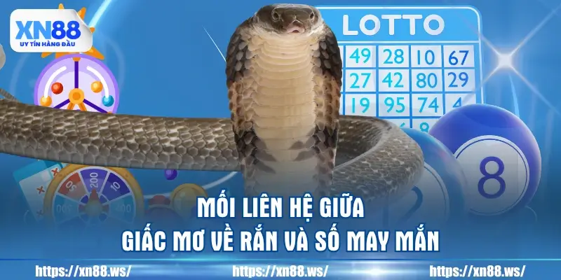 moi-lien-he-giua-giac-mo-ve-ran-va-so-may-man