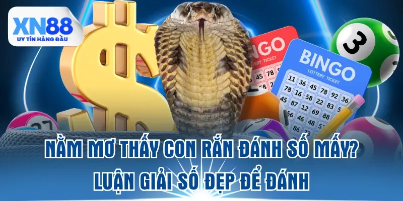 nam-mo-thay-con-ran-danh-so-may-luan-giai-so-dep-de-danh
