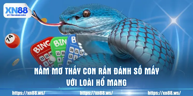 nam-mo-thay-con-ran-danh-so-may-voi-loai-ho-mang