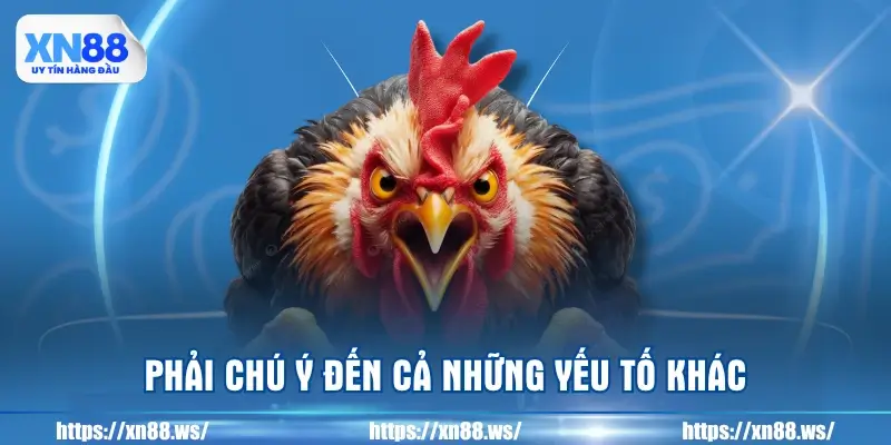 phai-chu-y-den-ca-nhung-yeu-to-khac