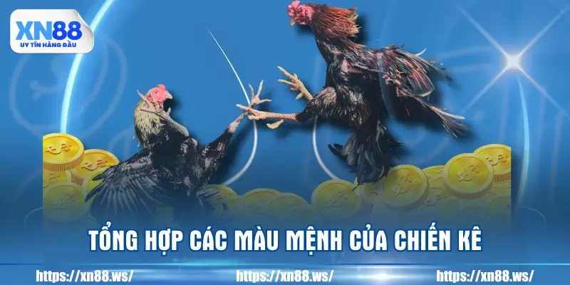 tong-hop-cac-mau-menh-cua-chien-ke