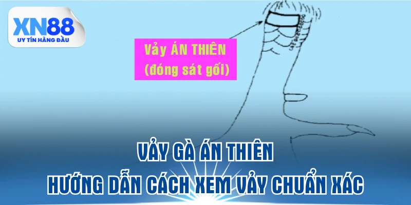vay-ga-an-thien-huong-dan-cach-xem-vay-chuan-xac