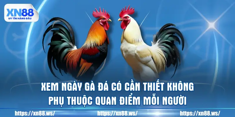 xem-ngay-ga-da-co-can-thiet-khong-phu-thuoc-quan-diem-moi-nguoi