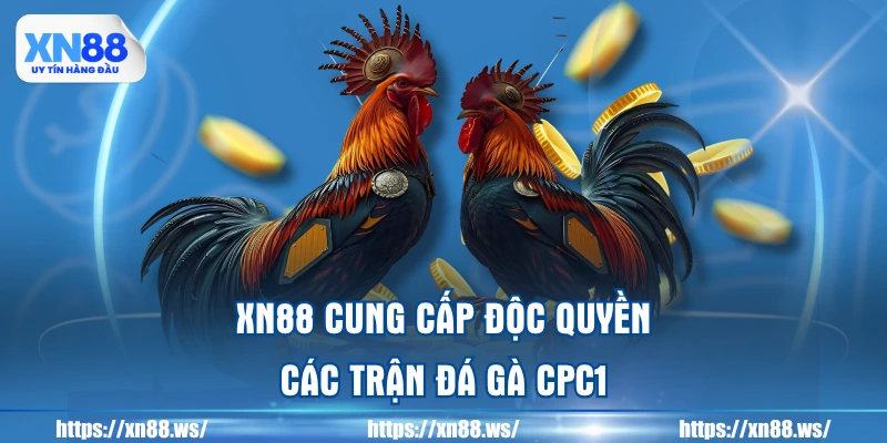 xn88-cung-cap-doc-quyen-cac-tran-da-ga-cpc1
